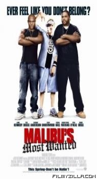 Malibus Most Wanted (2003) Hindi Dubbed