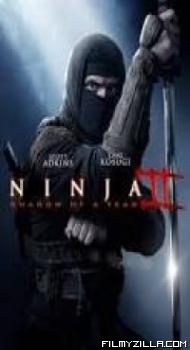 Ninja Shadow of a Tear (2013) Dual Audio Hindi Dubbed